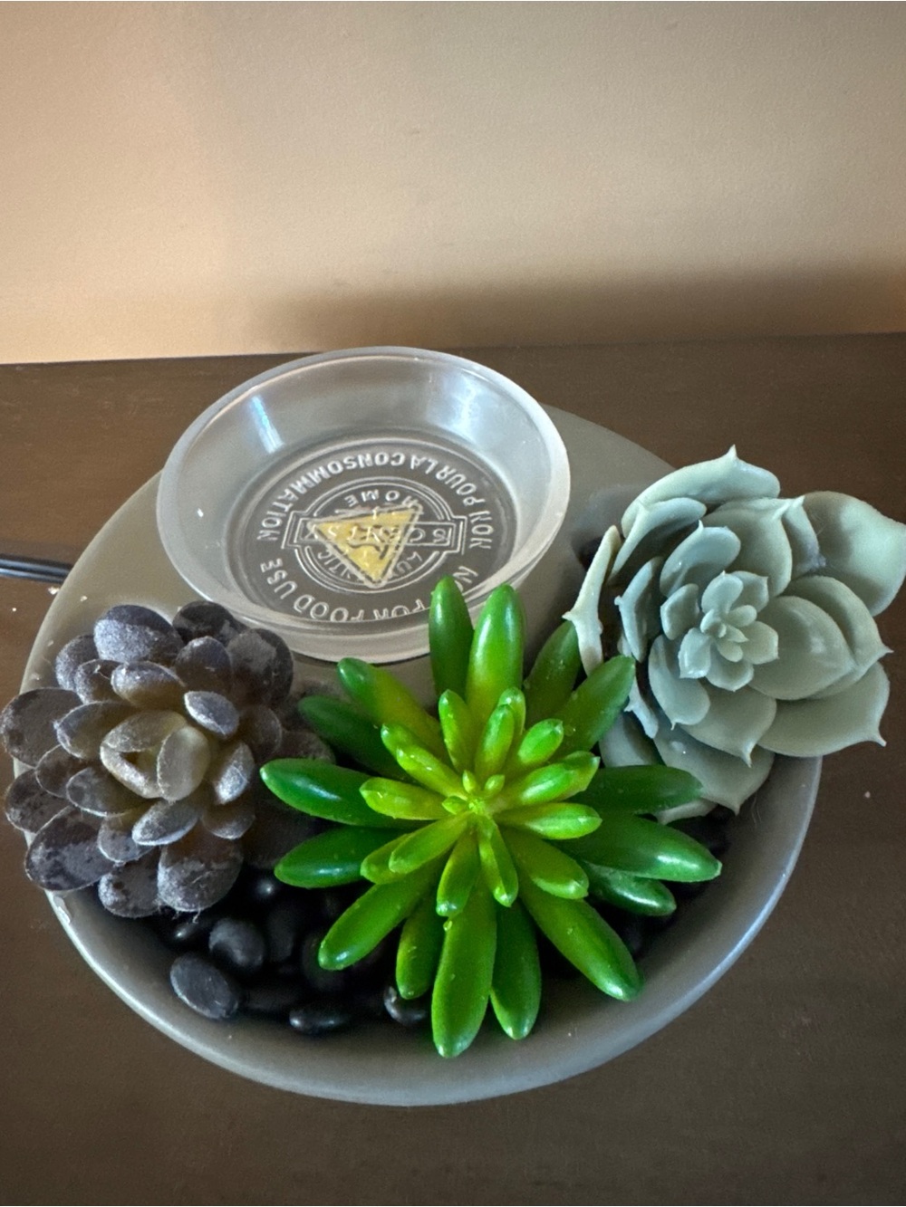 Scentsy Suc-cute-lent Element Wax Warmer Faux Succulents Bowl Clear Dish